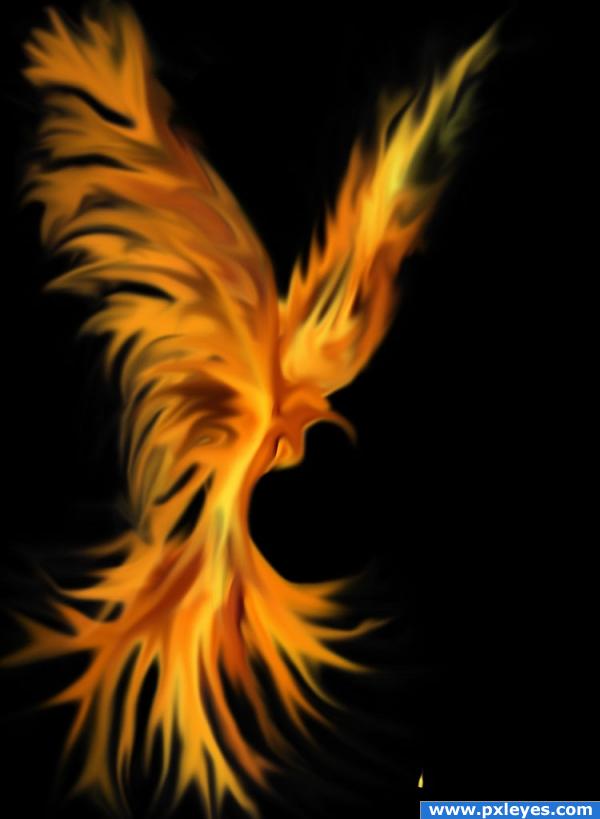 Rise of the Phoenix